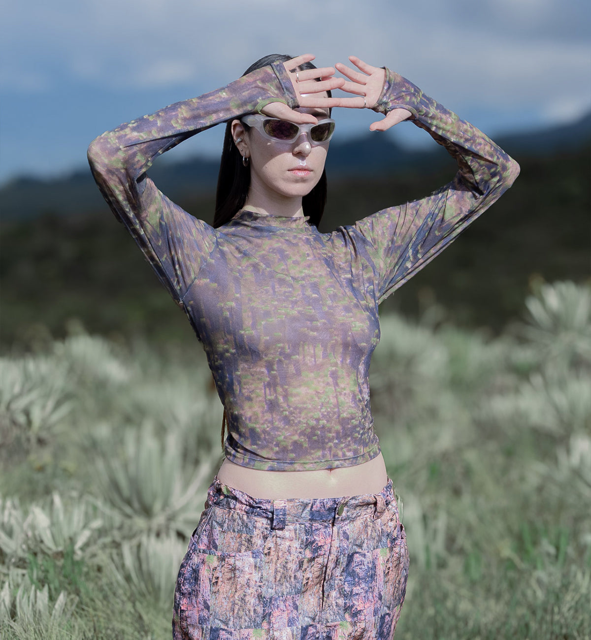 Top Frailejón: Páramo