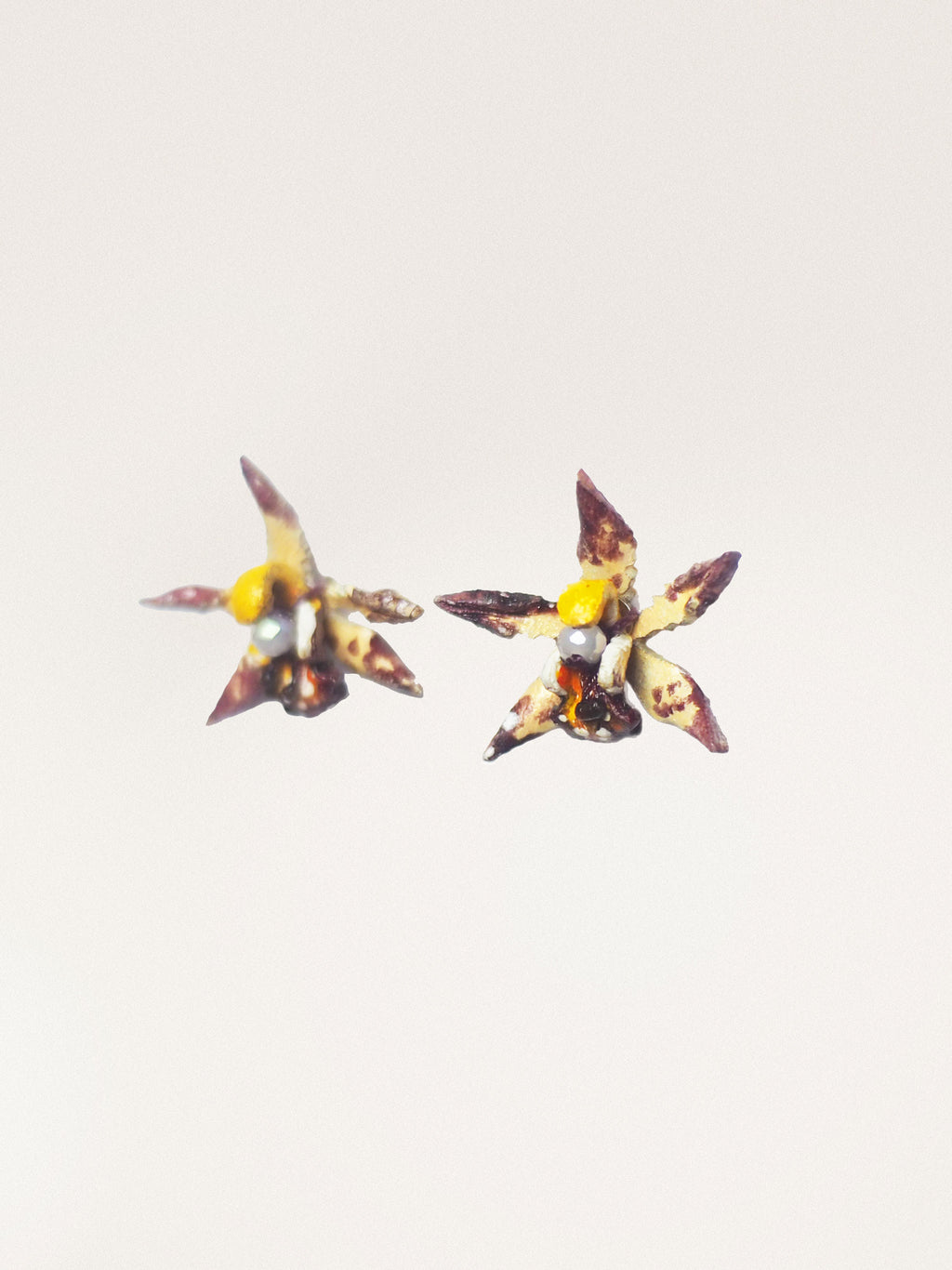 Orecchini Cymbidium Piccolo