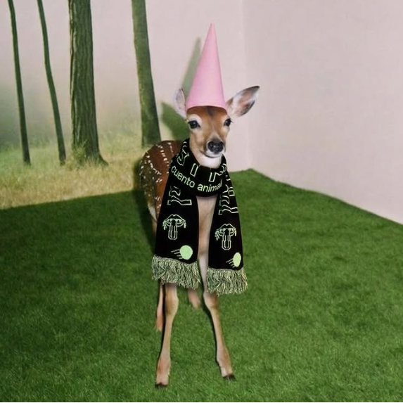 Cuento animal